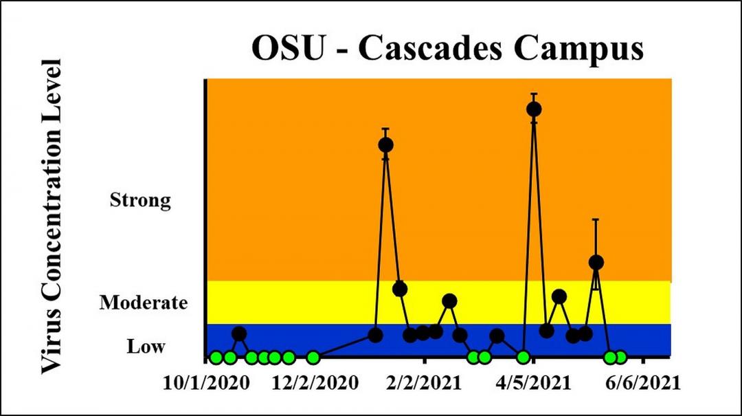The concentration on the most recent sampling dates (5/18/2021 and 5/24/2021) indicated a viral load below the detection limit at OSU-Cascades Campus