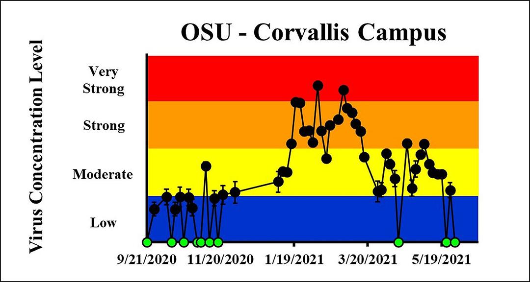 The concentration on the most recent sampling dates indicated a moderate viral load on 5/26/2021 and a viral load below the detection limit on 5/30/2021 at OSU Corvallis Campus