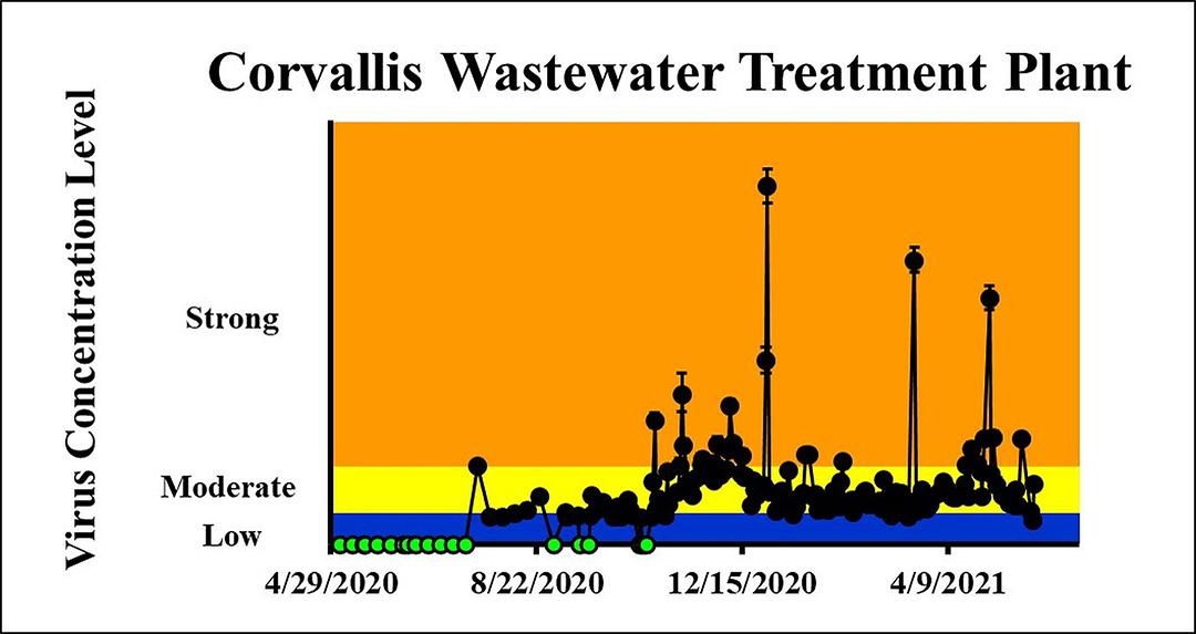 The concentration on the most recent sampling dates indicated a low viral load on 5/26/2021 and a moderate viral load on 5/27/2021 in the City of Corvallis